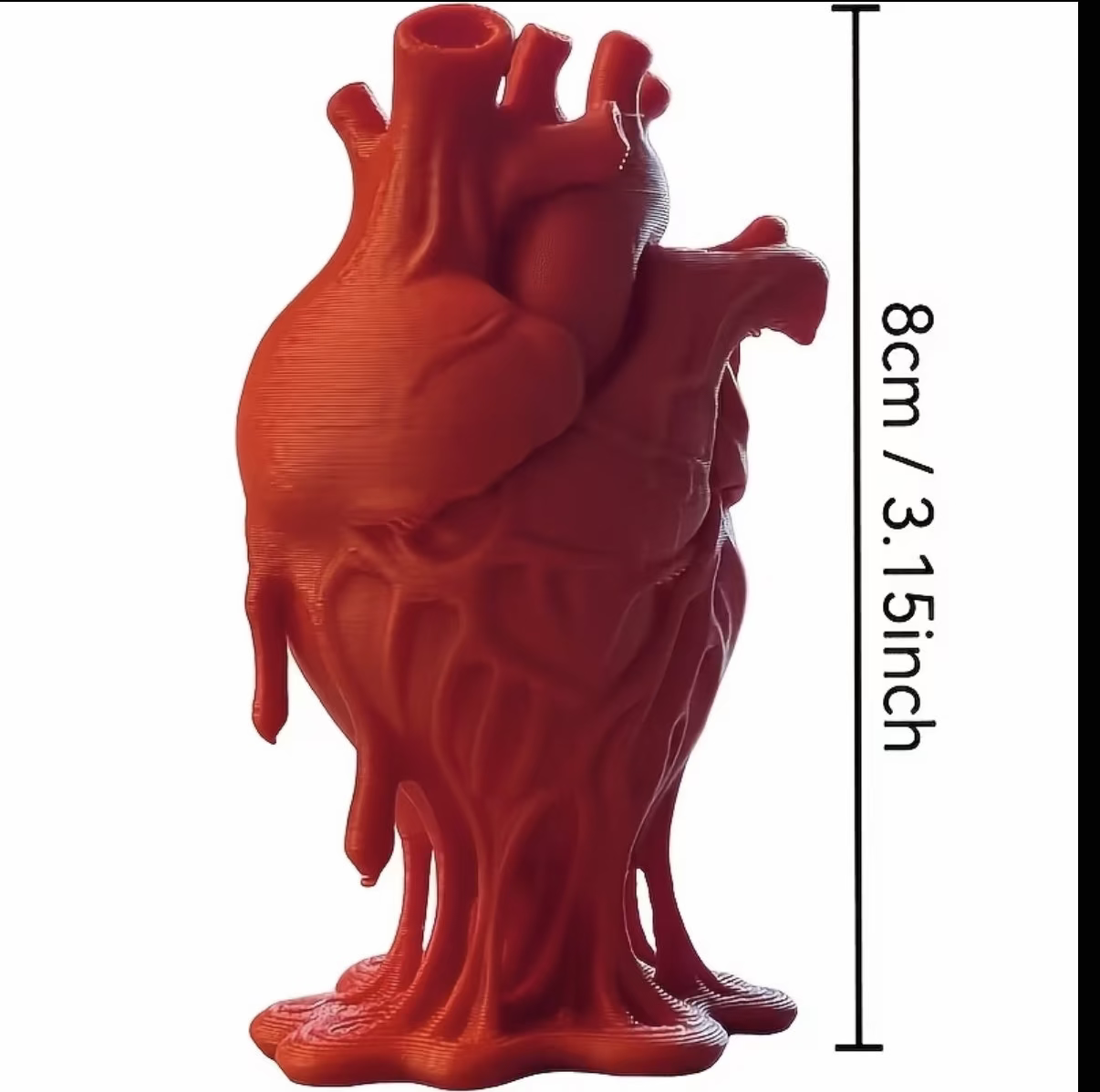 Red anatomical human heart model, 8 cm tall, with detailed chambers and vessels