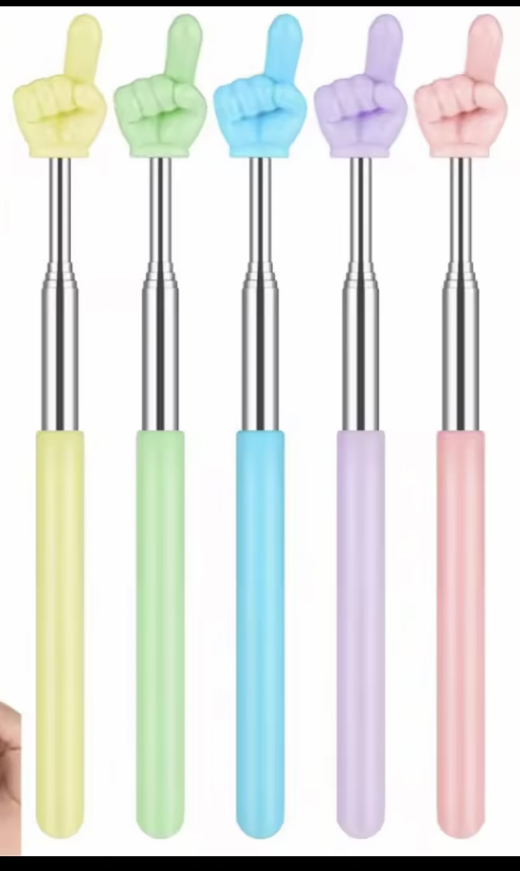 Pointer – Extendable Stainless Steel Hand Pointer (Random Colour)