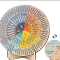 Wooden feelings wheel with printed emotion labels in a circular layout